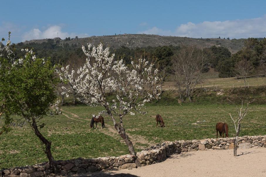 Quinta Do Rio Noemi Hotell Guarda Exteriör bild