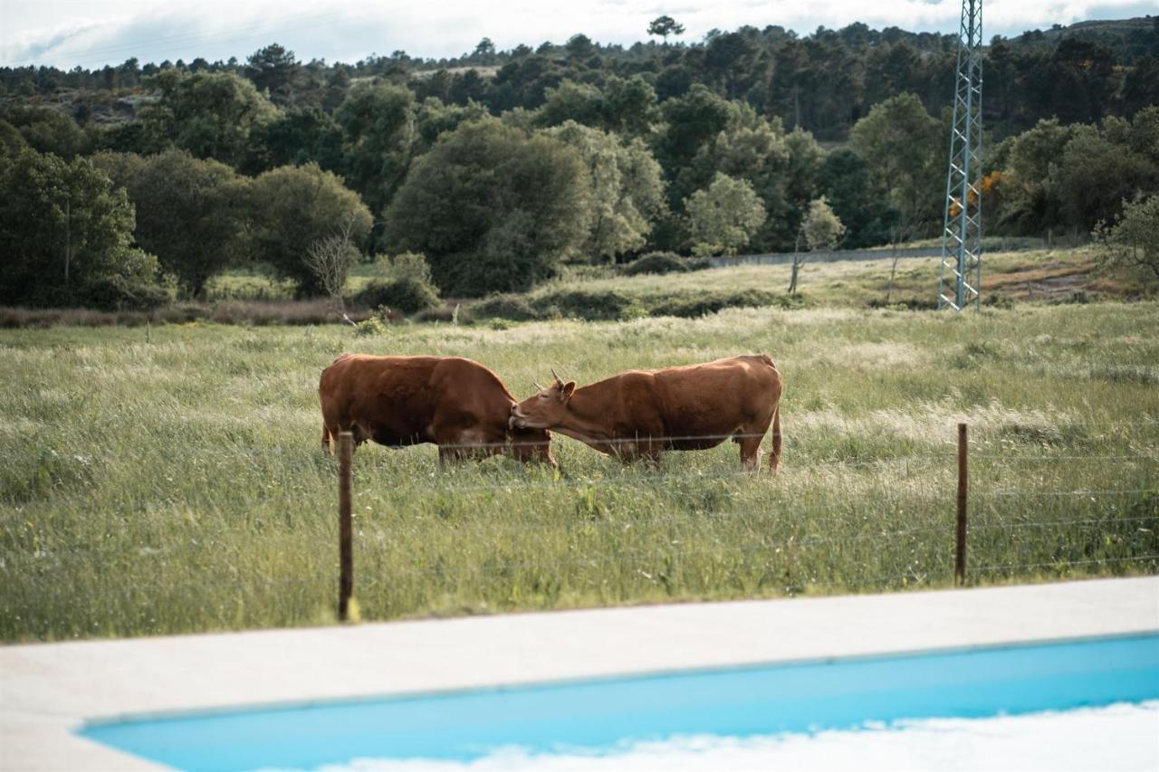 Quinta Do Rio Noemi Hotell Guarda Exteriör bild